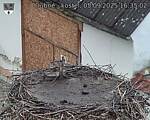 Capi_Dubne_20250905_163502.jpg