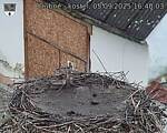 Capi_Dubne_20250905_164003.jpg