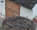 Capi_Dubne_20250905_165002.jpg