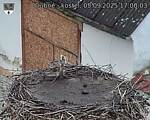 Capi_Dubne_20250905_170003.jpg
