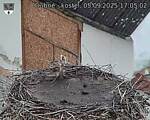 Capi_Dubne_20250905_170502.jpg