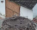 Capi_Dubne_20250905_174502.jpg