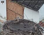 Capi_Dubne_20250905_181003.jpg
