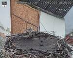 Capi_Dubne_20250905_182502.jpg