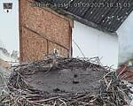 Capi_Dubne_20250905_183503.jpg