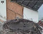 Capi_Dubne_20250905_185503.jpg