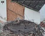 Capi_Dubne_20250905_190502.jpg