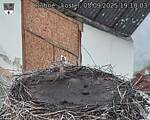 Capi_Dubne_20250905_191003.jpg