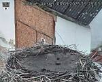 Capi_Dubne_20250905_192503.jpg