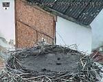 Capi_Dubne_20250905_193002.jpg