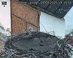 Capi_Dubne_20250905_193502.jpg