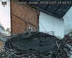 Capi_Dubne_20250905_194003.jpg