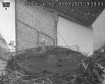 Capi_Dubne_20250905_195003.jpg