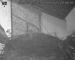 Capi_Dubne_20250905_200003.jpg