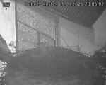 Capi_Dubne_20250905_200502.jpg