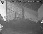 Capi_Dubne_20250905_204002.jpg