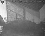 Capi_Dubne_20250905_205503.jpg