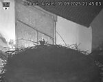 Capi_Dubne_20250905_214503.jpg