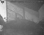 Capi_Dubne_20250905_230003.jpg