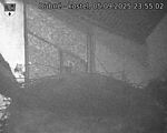 Capi_Dubne_20250905_235502.jpg