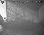 Capi_Dubne_20250906_000003.jpg