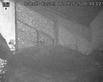 Capi_Dubne_20250906_004002.jpg