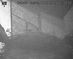Capi_Dubne_20250906_011002.jpg