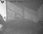 Capi_Dubne_20250906_012503.jpg