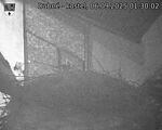 Capi_Dubne_20250906_013002.jpg