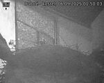 Capi_Dubne_20250906_015003.jpg