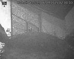 Capi_Dubne_20250906_020003.jpg