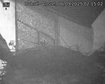 Capi_Dubne_20250906_021502.jpg