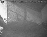 Capi_Dubne_20250906_022503.jpg