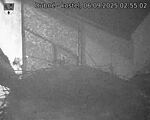 Capi_Dubne_20250906_025502.jpg
