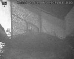 Capi_Dubne_20250906_031003.jpg