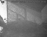 Capi_Dubne_20250906_032502.jpg