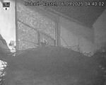 Capi_Dubne_20250906_044003.jpg