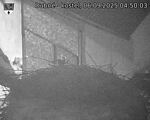 Capi_Dubne_20250906_045003.jpg