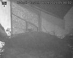 Capi_Dubne_20250906_050002.jpg