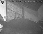 Capi_Dubne_20250906_051503.jpg