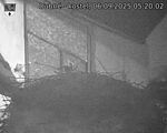 Capi_Dubne_20250906_052002.jpg