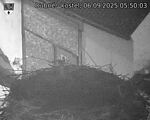 Capi_Dubne_20250906_055003.jpg