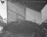 Capi_Dubne_20250906_055502.jpg