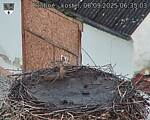 Capi_Dubne_20250906_063503.jpg