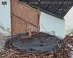 Capi_Dubne_20250906_064002.jpg