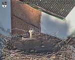 Capi_Dubne_20250906_074503.jpg