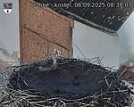 Capi_Dubne_20250906_083003.jpg