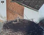 Capi_Dubne_20250906_085002.jpg