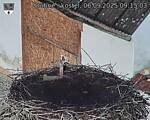 Capi_Dubne_20250906_091503.jpg