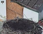 Capi_Dubne_20250906_111502.jpg